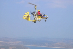 Aviomania Aircraft | Choose a Safe, Stable & Fun Aircraft by Aviomania Aircraft